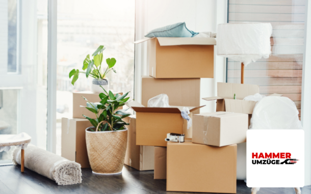 Webdesign Referenz aus München Hammer Umzüge